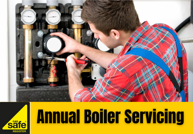 annual boiler servicing Hempstead